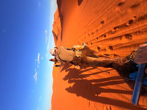       Camel caravan stretches across glowing dunes casting long evening shadows.
  