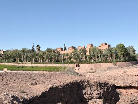       A walled desert estate fringed with rows of palm trees against a clear blue sky.
  