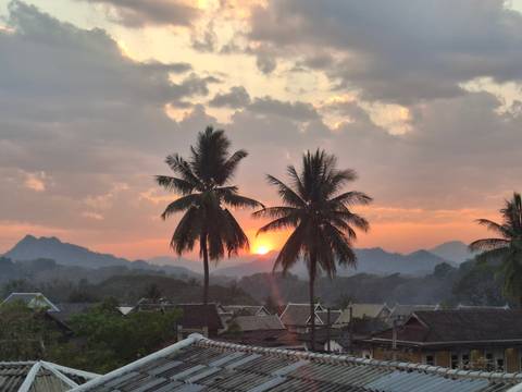       Silhouetted palm trees framing an orange sunset over misty mountains and rooftops.
  
