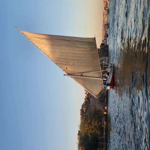       Graceful felucca with a billowing sail glides along the Nile at sunset near rocky riverbanks.
  