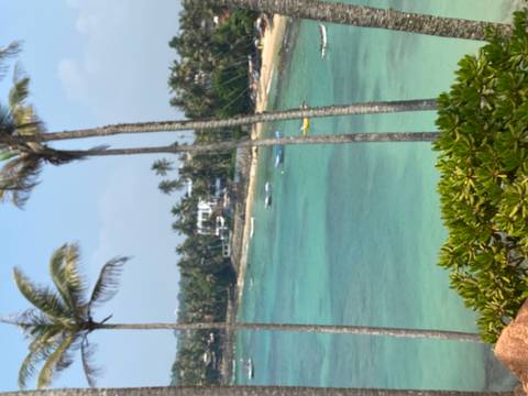       Out-of-focus vertical shot of a tropical bay with palms and turquoise water.
  