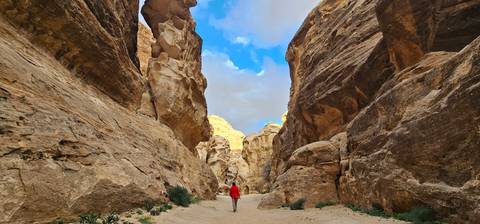       Narrow sandstone canyon in Petra with dramatic towering walls and a hiker in a red jacket walking the sandy floor.
  