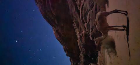       Camel standing under a starry night sky in a dimly lit desert landscape.
  