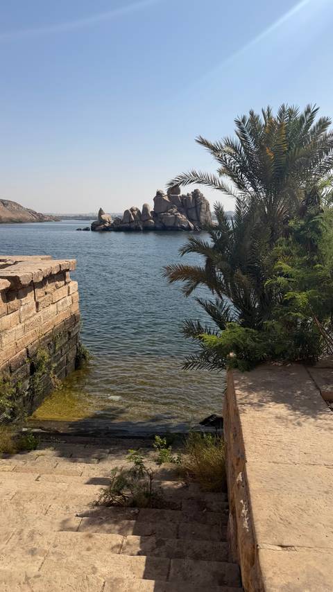       Serene Nile waters with palm trees and granite boulder island in the distance
  