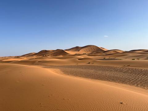       Vast undulating orange sand dunes under a clear blue desert sky.
  