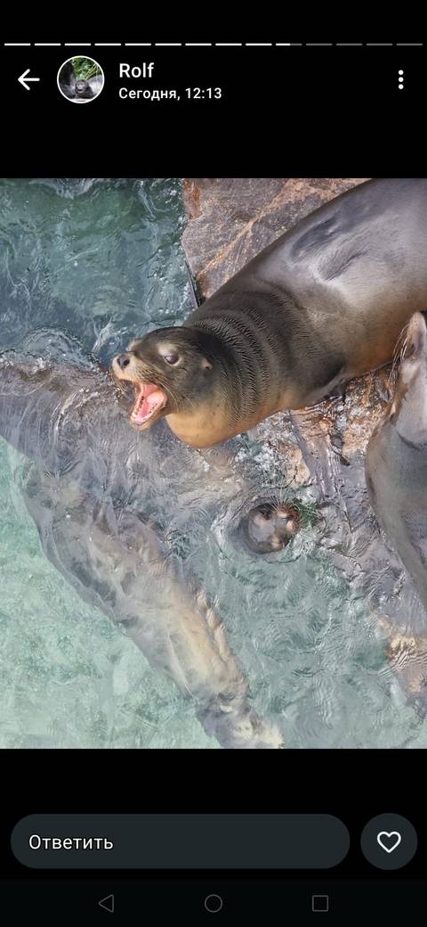       Photo d'avis client sur Circuit en petit groupe au cœur des Galápagos - 10 jours 
  