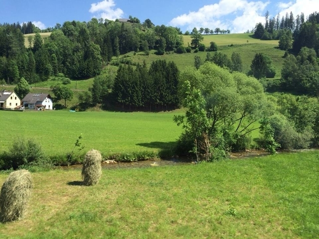 Klantbeoordelingsfoto van Hoogtepunten van Oost-Europa 