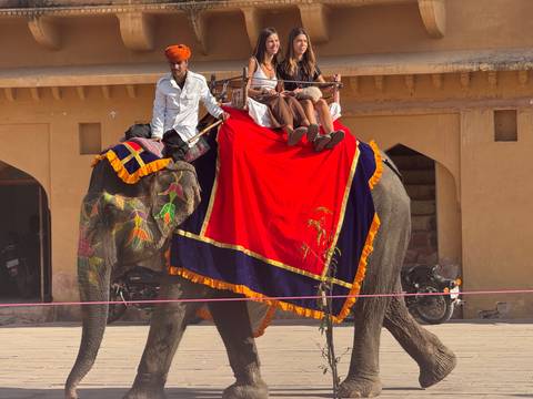       Tourists ride a decorated elephant led by a mahout past sandstone walls of a historic fort.
  