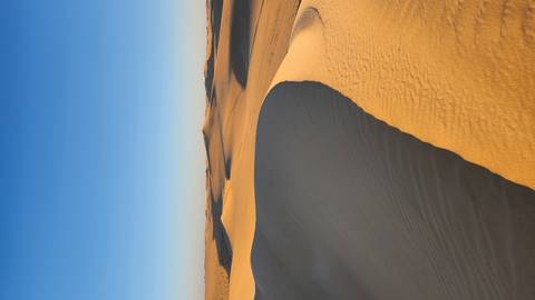       Curving ridge of rippled sand dune bathed in warm sunset light under clear sky.
  