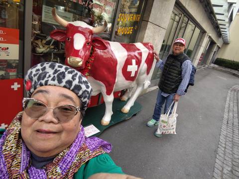       foto de reseña de cliente de Suiza (17 destinations) 
  