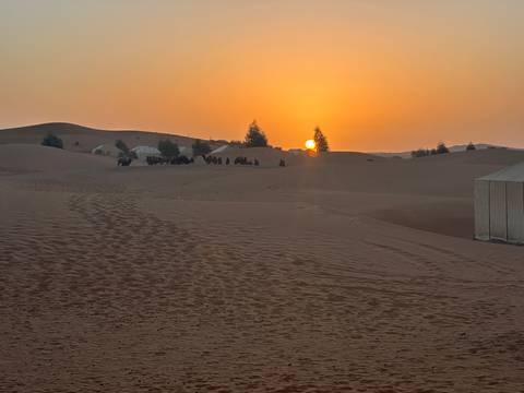       Orange sunset over Sahara sand dunes with a camel caravan and tents silhouetted on the horizon.
  