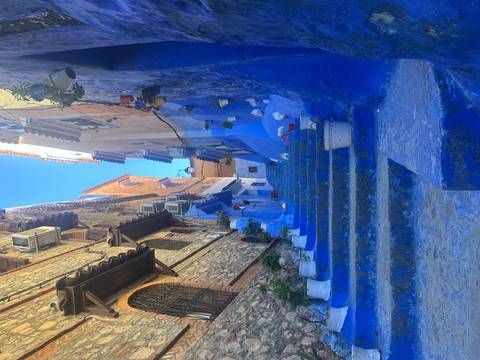       Colorful flower pots decorate blue-painted staircase in a narrow alley of Chefchaouen.
  
