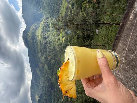       Hand holding a fresh pineapple juice against a backdrop of lush green mountains and valleys in Sri Lanka.
  
