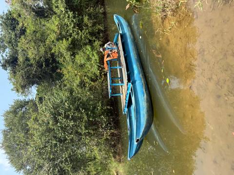       Small blue wooden boat with a seated rower gliding through a calm jungle river.
  