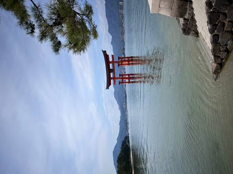       Iconic red floating torii of Itsukushima Shrine rises from calm bay waters against forested mountains.
  