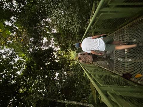       Two travellers walk an elevated metal walkway through dense evening jungle.
  