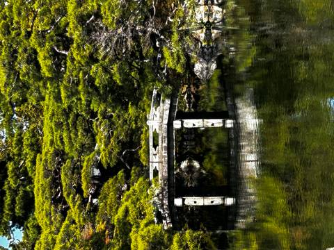       Small wooden bridge reflected in calm pond surrounded by manicured pine trees.
  