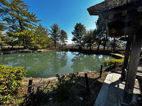      Quiet temple pond with greenish water surrounded by trees and low walls under clear sky.
  