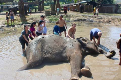      foto de reseña de cliente de Tailandia alucinante en 9 días 
  