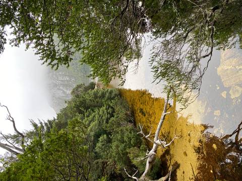      A clear, amber-tinted lake bordered by dense forest reflects a mist-covered craggy mountain in the background.
  