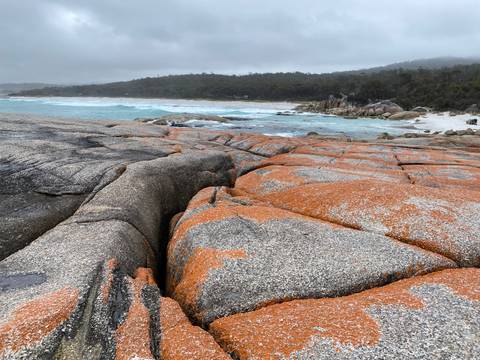       Orange-lichen granite slabs lead to turquoise surf and a forested coastline below a grey sky.
  