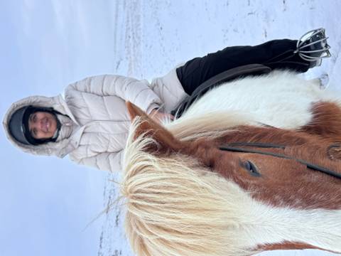       A bundled-up traveller sits astride a sturdy Icelandic horse with a thick mane in a snowy landscape.
  