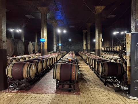       Rows of oak wine barrels fill a cavernous cellar illuminated by overhead spotlights.
  