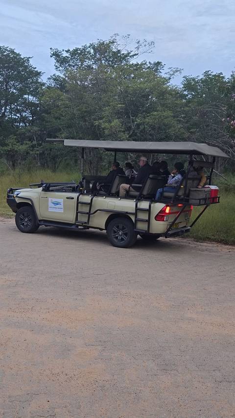       Open-air safari vehicle carrying tourists along a park road
  