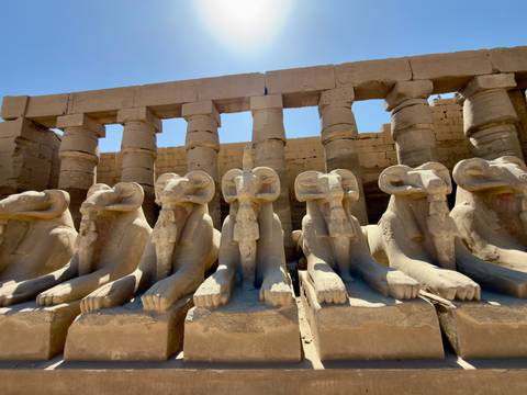       Row of ram-headed sphinx statues at Karnak Temple lit by bright sun with stone colonnade behind
  