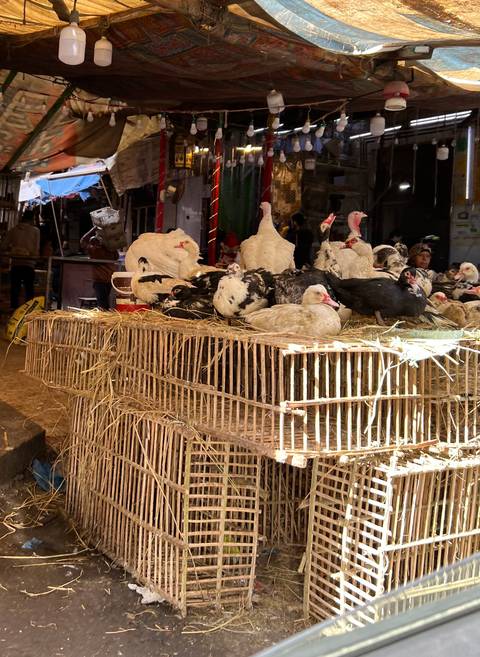       Chickens and ducks crowded on straw-covered cages inside a busy indoor market stall.
  