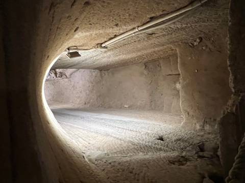       Dimly lit stone staircase descending into an ancient subterranean passage.
  