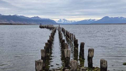       Old wooden pier pilings leading into vast Patagonian lake with snowy mountains afar
  