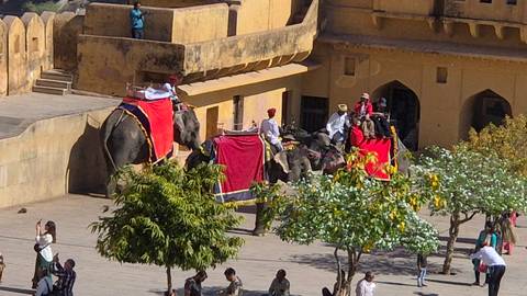       Decorated elephants carrying tourists up the ramparts of Amber Fort in Jaipur.
  