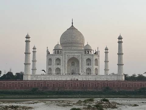       Front elevation of Taj Mahal against a pale evening sky with birds flying past.
  
