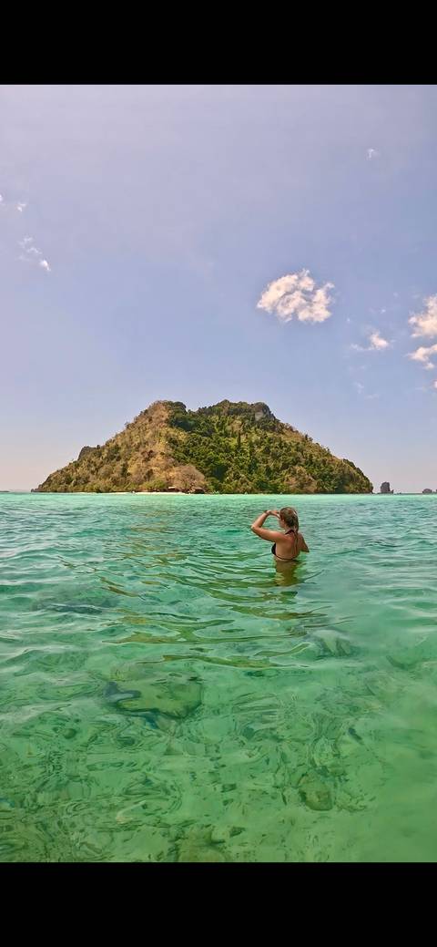       Solo swimmer in clear tropical water gazing at a lush green island under bright skies.
  