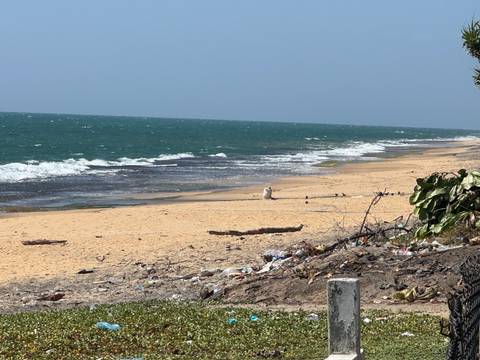       foto de reseña de cliente de El mejor Toque De Sri Lanka 
  