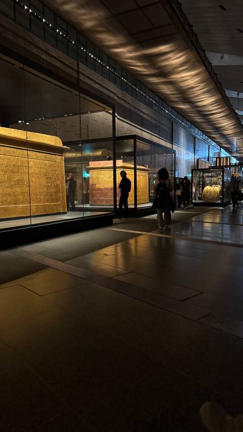       Visitors study gilded sarcophagi and relics in glass cases inside a modern dimly lit museum hall
  
