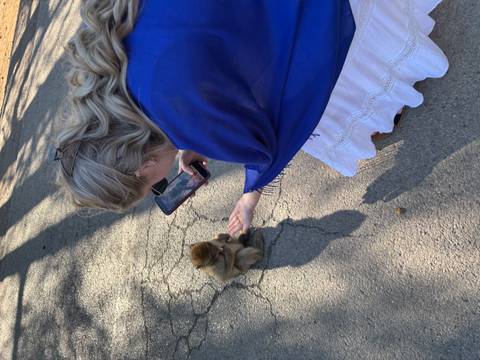       Photo d'avis client sur 6 jours de merveilles Route des nomades Ville bleue et Dunes d'or 
  