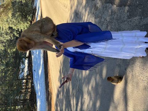       Photo d'avis client sur 6 jours de merveilles Route des nomades Ville bleue et Dunes d'or 
  