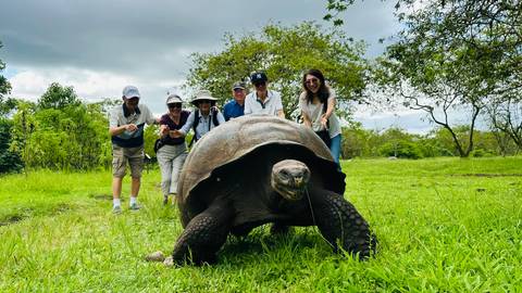       Travelers crouch behind a giant Galápagos tortoise grazing on lush grass as grey clouds gather overhead.
  