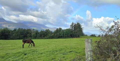       A lone brown horse grazes on a lush green pasture with trees, distant mountains and a faint rainbow under partly cloudy skies.
  