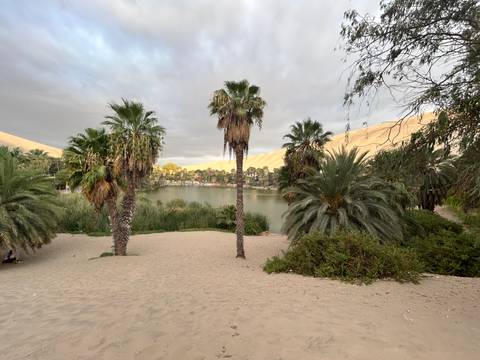       Palm-fringed oasis lagoon surrounded by desert dunes under an overcast sky.
  