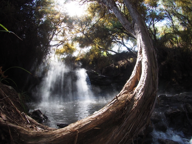 Sunlight filtering through trees onto a waterfall in a forest.
