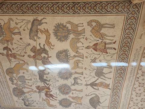       Klantbeoordelingsfoto van Rondreis van Egypte naar Petra – GEM, Nijlcruise, Witte Woestijn &amp; Jordanië – incl. binnenlandse vlucht &amp; internationale vluchten van Egypte naar Jordanië – 14 dagen 
  