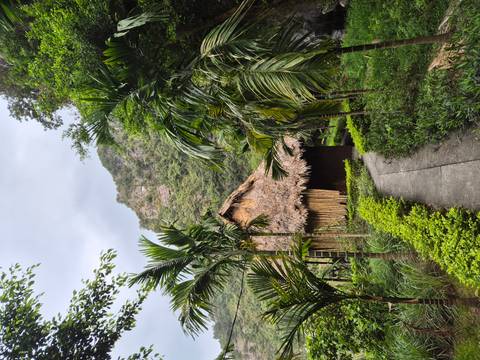       Thatched bamboo bungalow set among lush palms and limestone cliffs, reached by a narrow garden path.
  