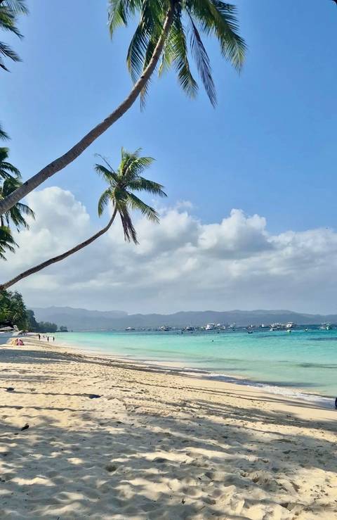       Tropical white-sand beach bordered by turquoise water and leaning palm tree beneath a partly cloudy sky.
  