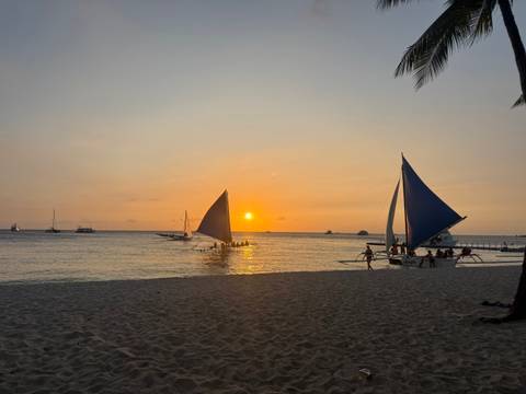       Traditional sailboats glide across calm sea as the sun sets in a golden sky over a sandy beach.
  