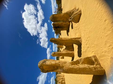       Photo d'avis client sur Circuit original de 7 jours de Perth à Exmouth Explorer et Ningaloo Reef 
  