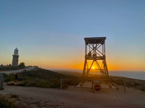       Photo d'avis client sur Circuit original de 7 jours de Perth à Exmouth Explorer et Ningaloo Reef 
  
