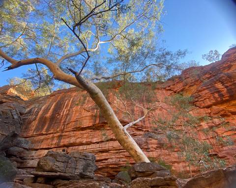       Photo d'avis client sur Circuit original de 7 jours de Perth à Exmouth Explorer et Ningaloo Reef 
  